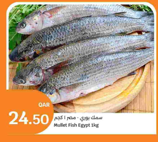 available at City Hypermarket in Qatar - Al-Shahaniya