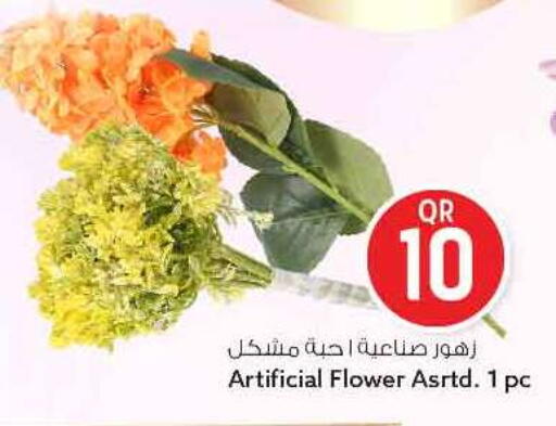 available at سفاري هايبر ماركت in قطر - الريان