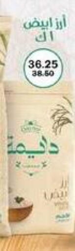 available at Flamingo Hyper Market in Egypt - Cairo