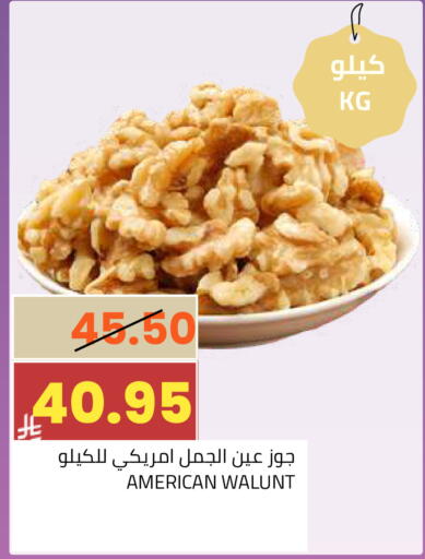 available at أسواق أسترا in مملكة العربية السعودية, السعودية, سعودية - تبوك