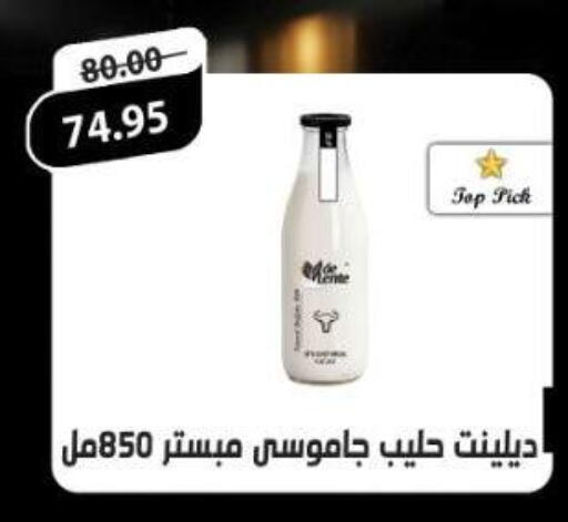 available at Aldoha Market in Egypt - Cairo