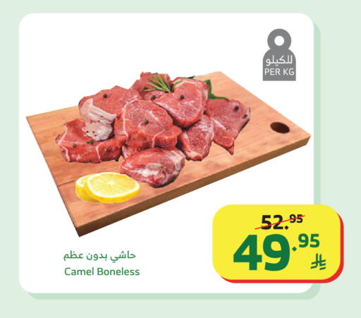 available at الراية in مملكة العربية السعودية, السعودية, سعودية - تبوك