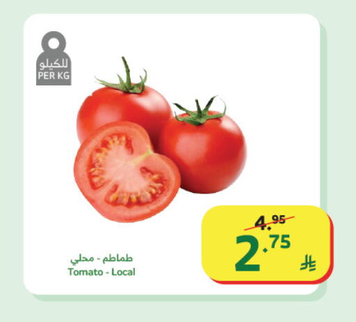 Tomato available at الراية in مملكة العربية السعودية, السعودية, سعودية - تبوك