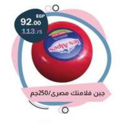 available at فلامنجو هايبرماركت in Egypt - القاهرة
