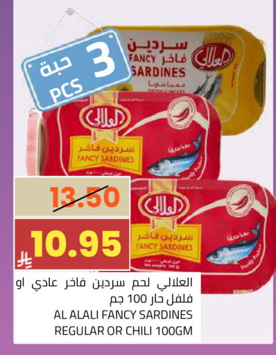 available at أسواق أسترا in مملكة العربية السعودية, السعودية, سعودية - تبوك