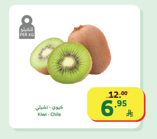 Kiwi from Chile available at الراية in مملكة العربية السعودية, السعودية, سعودية - تبوك
