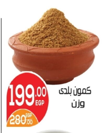 available at Zaher Dairy in Egypt - Cairo