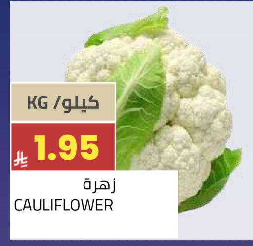 Cauliflower available at أسواق أسترا in مملكة العربية السعودية, السعودية, سعودية - تبوك