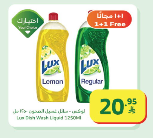 Lemon available at الراية in مملكة العربية السعودية, السعودية, سعودية - تبوك