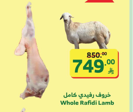 available at الراية in مملكة العربية السعودية, السعودية, سعودية - تبوك