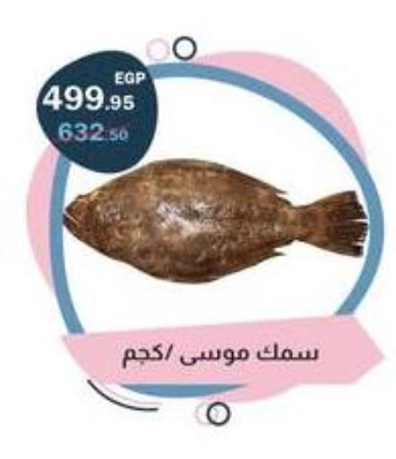 available at فلامنجو هايبرماركت in Egypt - القاهرة