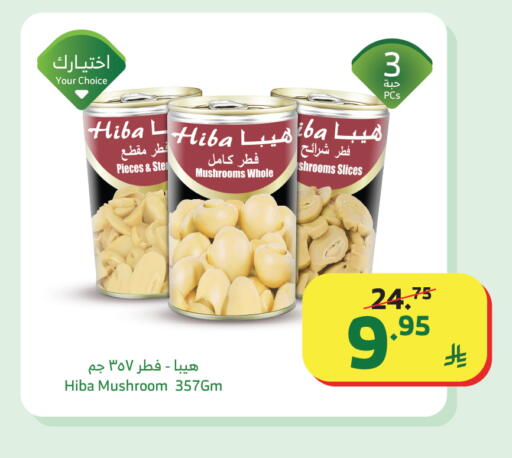 Mushroom available at الراية in مملكة العربية السعودية, السعودية, سعودية - تبوك
