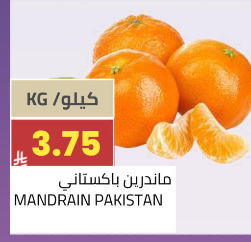 from Pakistan available at أسواق أسترا in مملكة العربية السعودية, السعودية, سعودية - تبوك