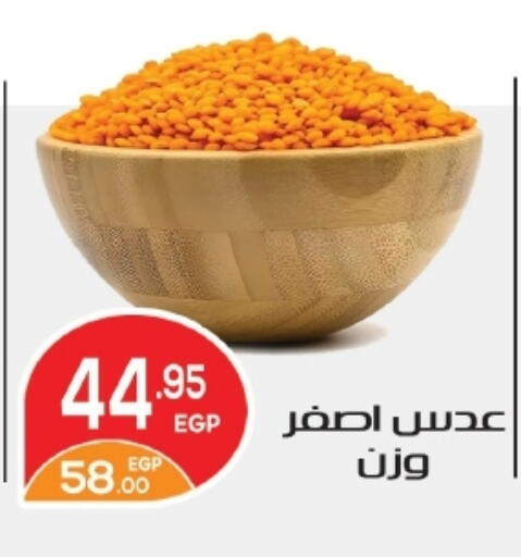 available at زاهر in Egypt - القاهرة
