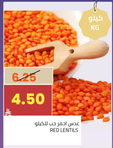 available at أسواق أسترا in مملكة العربية السعودية, السعودية, سعودية - تبوك