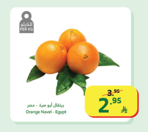 Orange from Egypt available at الراية in مملكة العربية السعودية, السعودية, سعودية - تبوك
