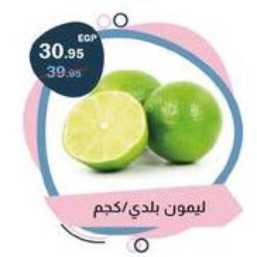 available at فلامنجو هايبرماركت in Egypt - القاهرة