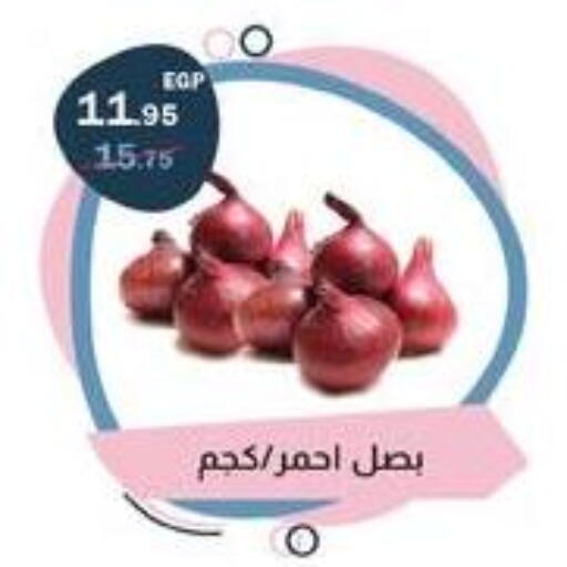available at فلامنجو هايبرماركت in Egypt - القاهرة
