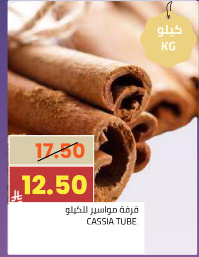 available at أسواق أسترا in مملكة العربية السعودية, السعودية, سعودية - تبوك