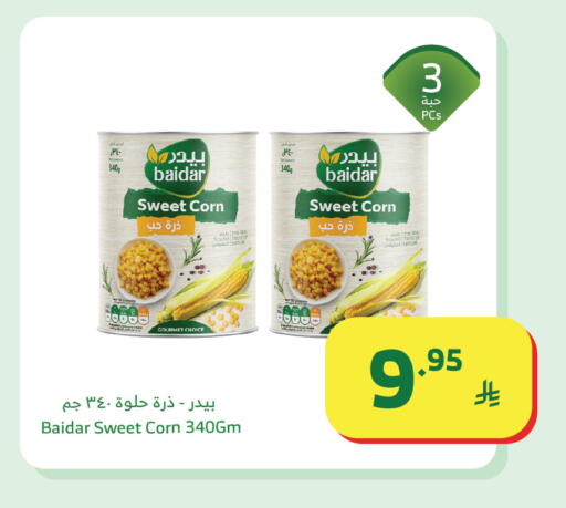 available at الراية in مملكة العربية السعودية, السعودية, سعودية - تبوك