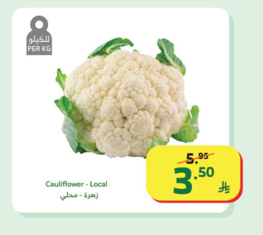 Cauliflower available at الراية in مملكة العربية السعودية, السعودية, سعودية - تبوك
