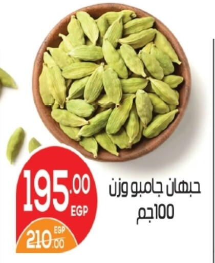 available at Zaher Dairy in Egypt - Cairo