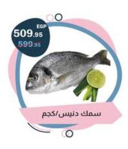 available at فلامنجو هايبرماركت in Egypt - القاهرة