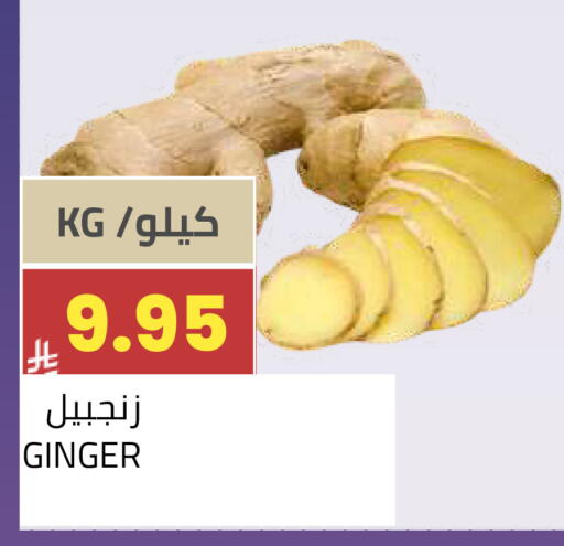 Ginger available at أسواق أسترا in مملكة العربية السعودية, السعودية, سعودية - تبوك