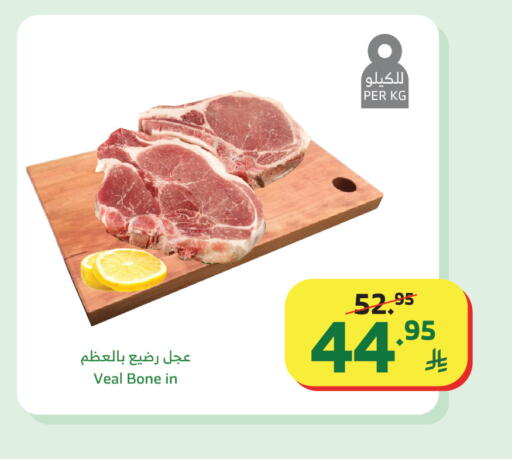 available at الراية in مملكة العربية السعودية, السعودية, سعودية - تبوك