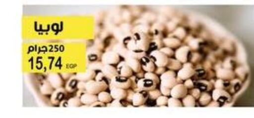 available at Flamingo Hyper Market in Egypt - Cairo