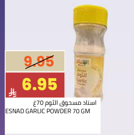 Garlic available at أسواق أسترا in مملكة العربية السعودية, السعودية, سعودية - تبوك