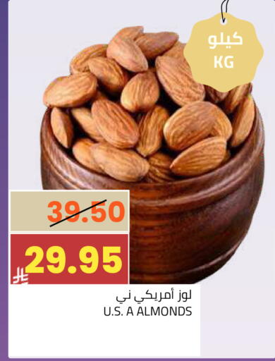 available at أسواق أسترا in مملكة العربية السعودية, السعودية, سعودية - تبوك