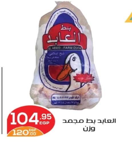 available at زاهر in Egypt - القاهرة