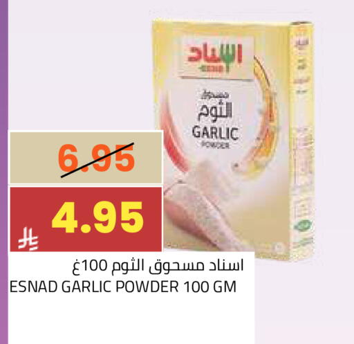 Garlic available at أسواق أسترا in مملكة العربية السعودية, السعودية, سعودية - تبوك