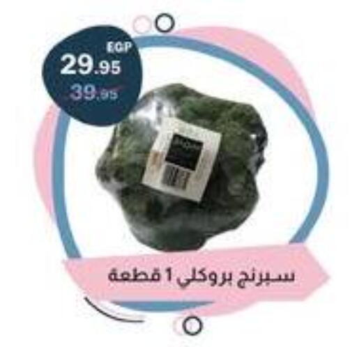 available at فلامنجو هايبرماركت in Egypt - القاهرة