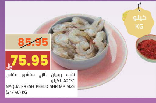 available at أسواق أسترا in مملكة العربية السعودية, السعودية, سعودية - تبوك