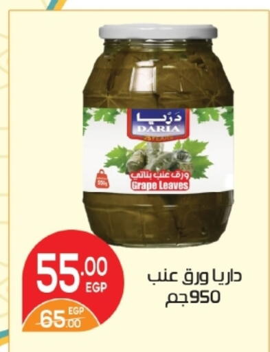 available at زاهر in Egypt - القاهرة