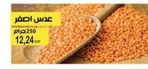 available at فلامنجو هايبرماركت in Egypt - القاهرة