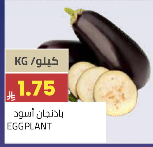 Eggplant available at أسواق أسترا in مملكة العربية السعودية, السعودية, سعودية - تبوك