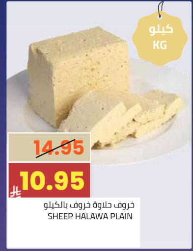 available at أسواق أسترا in مملكة العربية السعودية, السعودية, سعودية - تبوك