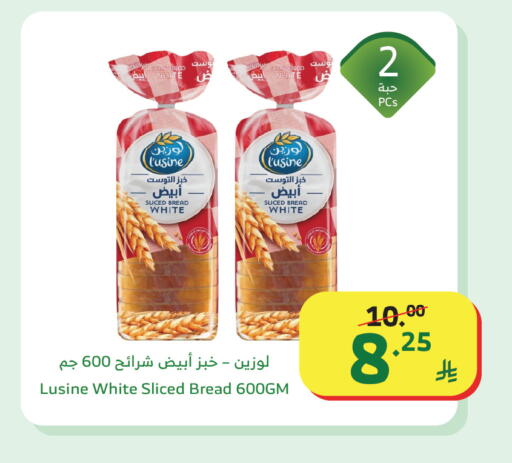 available at الراية in مملكة العربية السعودية, السعودية, سعودية - تبوك