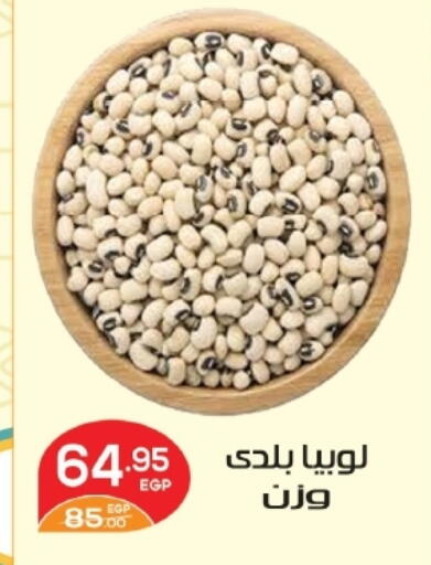 available at Zaher Dairy in Egypt - Cairo