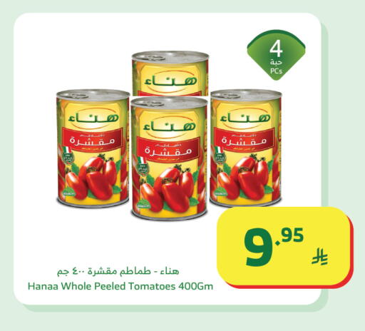 Tomato available at الراية in مملكة العربية السعودية, السعودية, سعودية - تبوك
