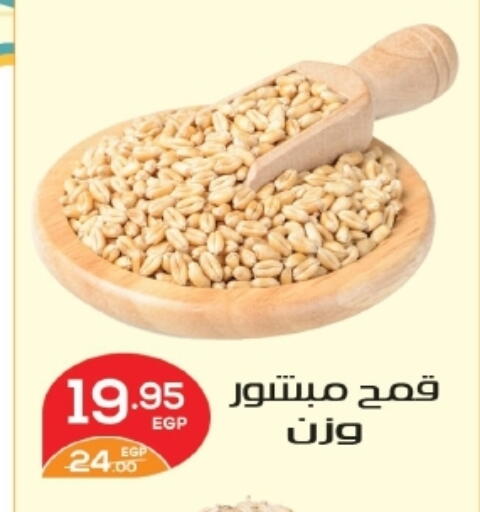 available at Zaher Dairy in Egypt - Cairo