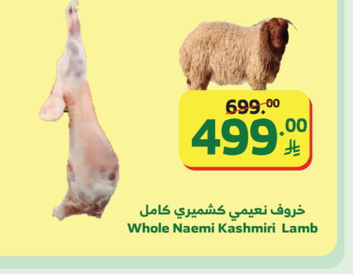 available at الراية in مملكة العربية السعودية, السعودية, سعودية - تبوك
