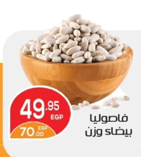 available at Zaher Dairy in Egypt - Cairo