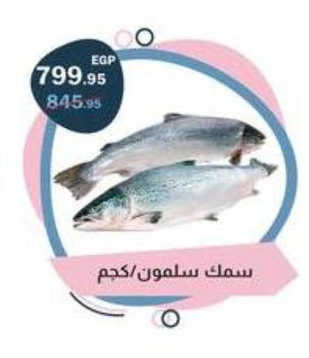 available at Flamingo Hyper Market in Egypt - Cairo