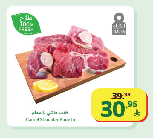 available at الراية in مملكة العربية السعودية, السعودية, سعودية - تبوك