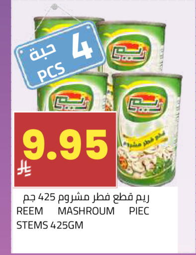 available at أسواق أسترا in مملكة العربية السعودية, السعودية, سعودية - تبوك