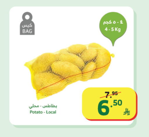 Potato available at الراية in مملكة العربية السعودية, السعودية, سعودية - تبوك